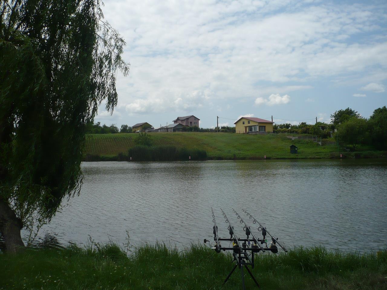 MV2 - 06.IUN.2014 - p1020438.JPG